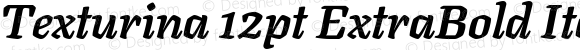 Texturina 12pt ExtraBold Italic