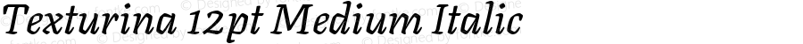 Texturina 12pt Medium Italic Version 1.003; ttfautohint (v1.8.3)