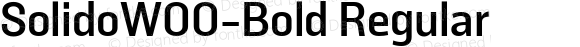 SolidoW00-Bold Regular