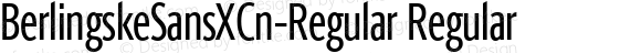 BerlingskeSansXCn-Regular Regular