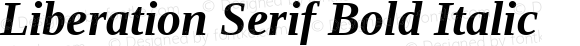 Liberation Serif Bold Italic