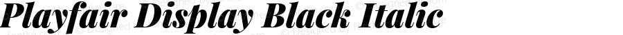 Playfair Display Black Italic