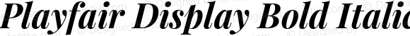 Playfair Display Bold Italic