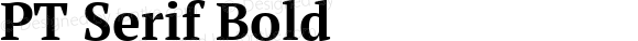 PT Serif Bold