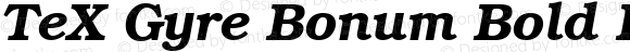 TeX Gyre Bonum Bold Italic