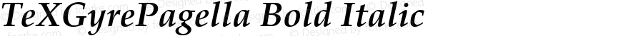 TeXGyrePagella Bold Italic