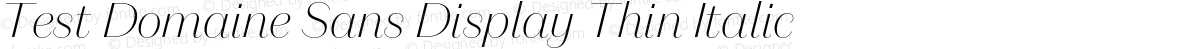 Test Domaine Sans Display Thin Italic