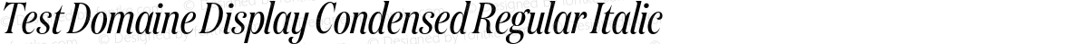 Test Domaine Display Condensed Regular Italic