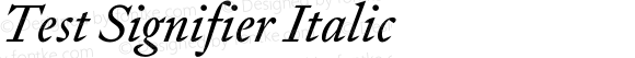Test Signifier Italic