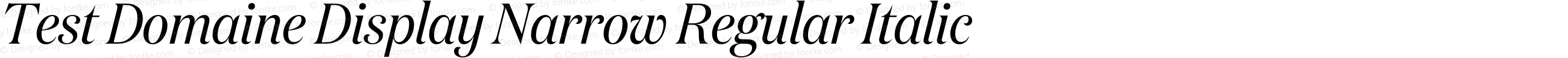 Test Domaine Display Narrow Regular Italic