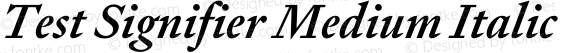 Test Signifier Medium Italic