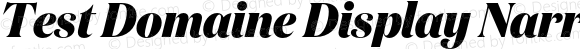 Test Domaine Display Narrow Extrabold Italic