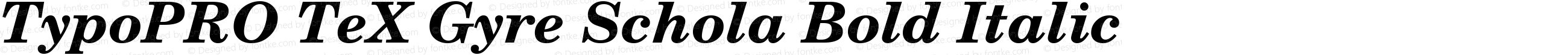 TypoPRO TeX Gyre Schola Bold Italic