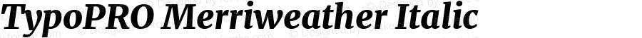 TypoPRO Merriweather UltraBold Italic