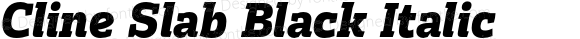 Cline Slab Black Italic