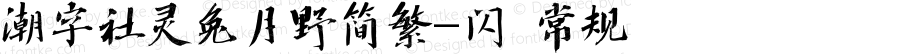 潮字社灵兔月野简繁-闪 常规 Version 1.0  www.reeji.com  锐字潮牌字库 上海锐线创意设计有限公司拥有版权
