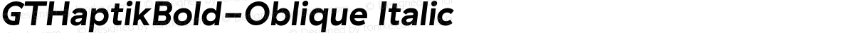 GTHaptikBold-Oblique Italic