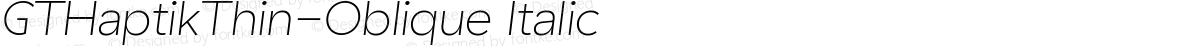 GTHaptikThin-Oblique Italic
