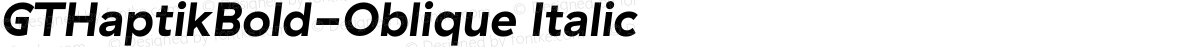 GTHaptikBold-Oblique Italic
