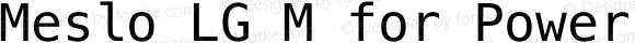 Meslo LG M Regular for Powerline Nerd Font Plus Font Awesome Plus Octicons Plus Pomicons Mono