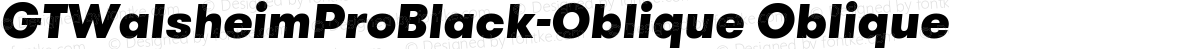 GTWalsheimProBlack-Oblique Oblique