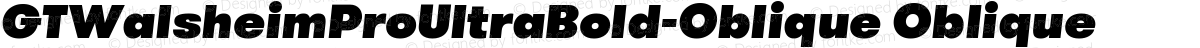 GTWalsheimProUltraBold-Oblique Oblique