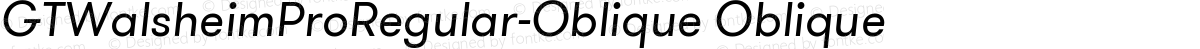 GTWalsheimProRegular-Oblique Oblique