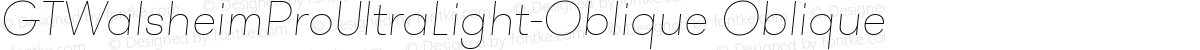 GTWalsheimProUltraLight-Oblique Oblique