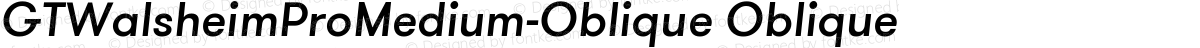 GTWalsheimProMedium-Oblique Oblique