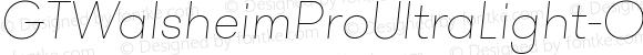 GTWalsheimProUltraLight-Oblique Oblique
