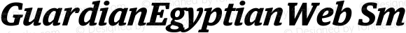 GuardianEgyptianWeb Smbd Italic