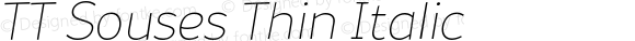 TT Souses Thin Italic