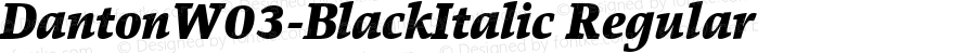 Danton W03 Black Italic