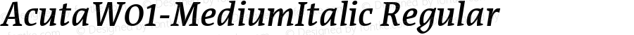 Acuta W01 Medium Italic