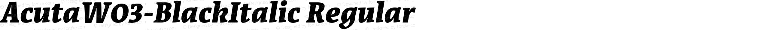 Acuta W03 Black Italic