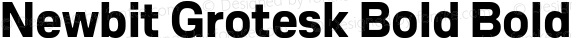 Newbit Grotesk Bold Bold