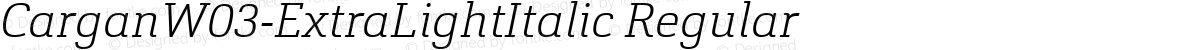 CarganW03-ExtraLightItalic Regular