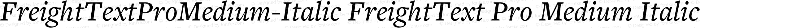 FreightText Pro Medium Italic