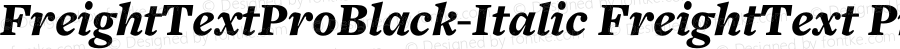 FreightText Pro Black Italic