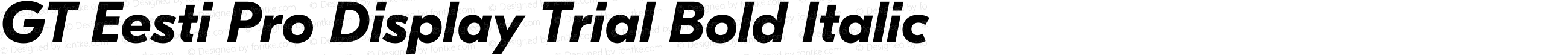 GT Eesti Pro Display Trial Bold Italic