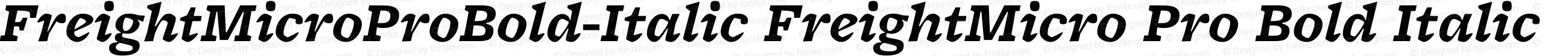 FreightMicroProBold-Italic FreightMicro Pro Bold Italic