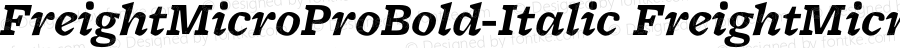 FreightMicro Pro Bold Italic