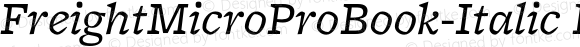FreightMicro Pro Book Italic