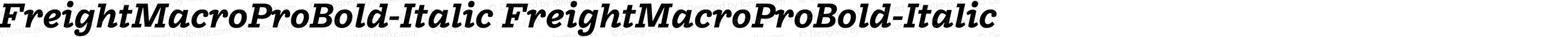 FreightMacroProBold-Italic