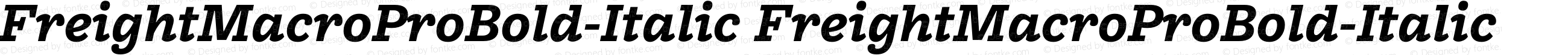 FreightMacroProBold-Italic