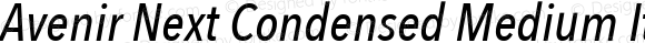 Avenir Next Condensed Medium Italic