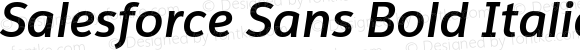 Salesforce Sans Bold Italic Bold Italic