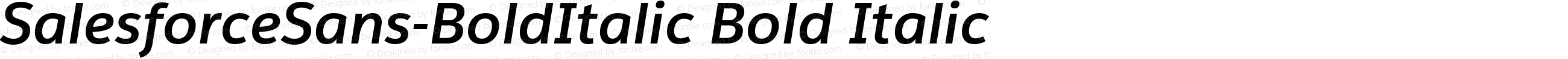 Salesforce Sans Bold Italic