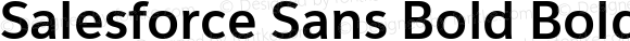 Salesforce Sans Bold Bold
