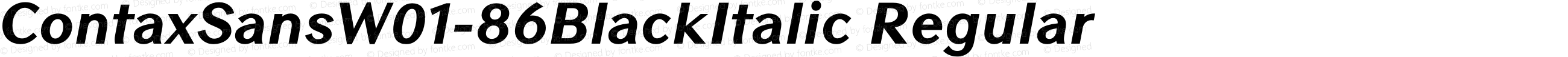 Contax Sans W01 86 Black Italic